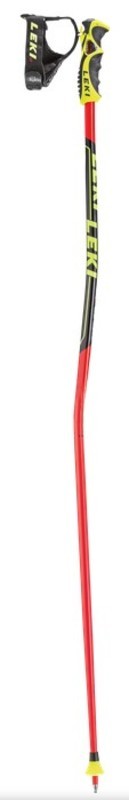 Hole Leki Carbon GS 6366767