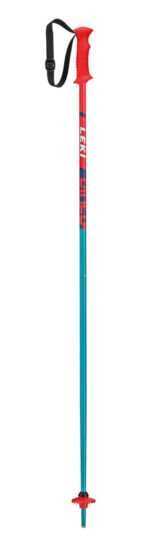 Lyžařské hole Leki Rider 64944141